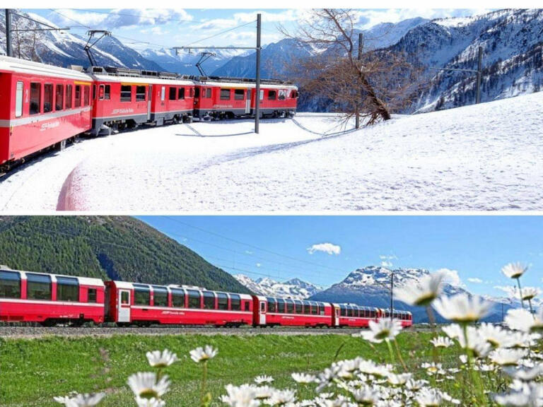 TRENINO ROSSO DEL BERNINA: UN'ESPERIENZA UNICA PER LA TUA FAMIGLIA 2