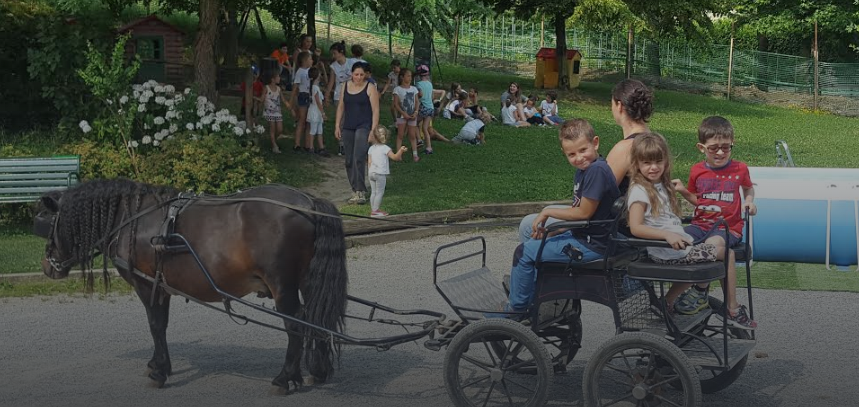 CENTRO ESTIVO A CAVALLO PRESSO IL MANEGGIO MONSERENO HORSES 1