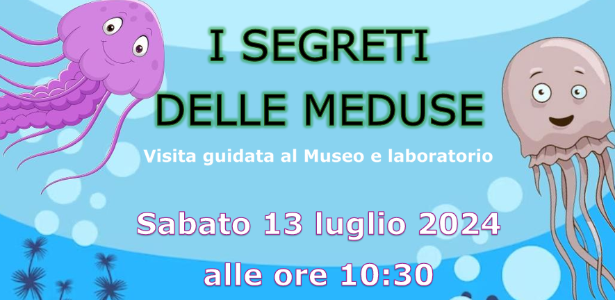 APPUNTAMENTO AL MUSEO DI MERATE: I SEGRETI DELLE MEDUSE 1