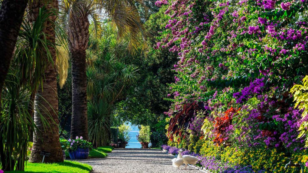 ISOLEE BORROMEE: UNA GITA IN GIORNATA AL LAGO MAGGIORE 1