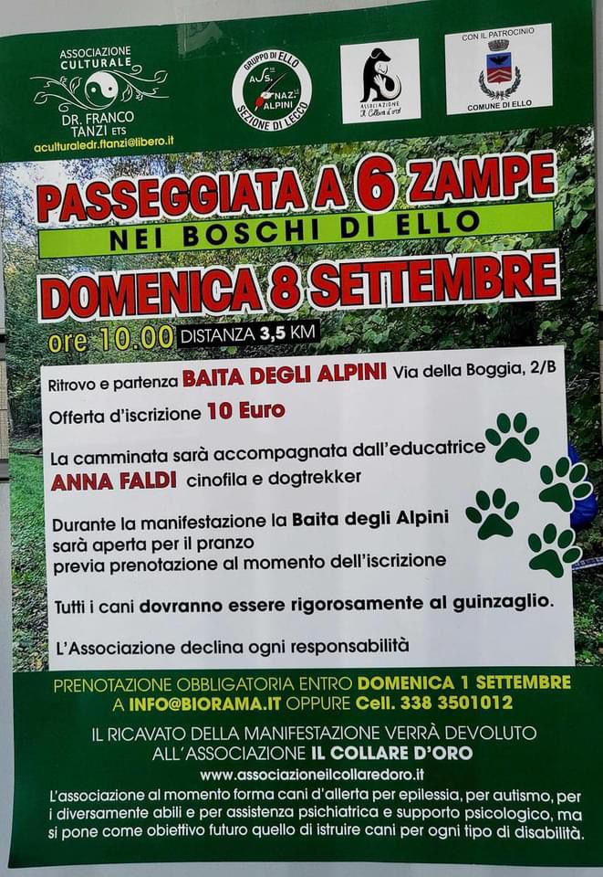 PASSEGGIATA A 6 ZAMPE: in compagnia dei vostri animali nei boschi di Ello 3