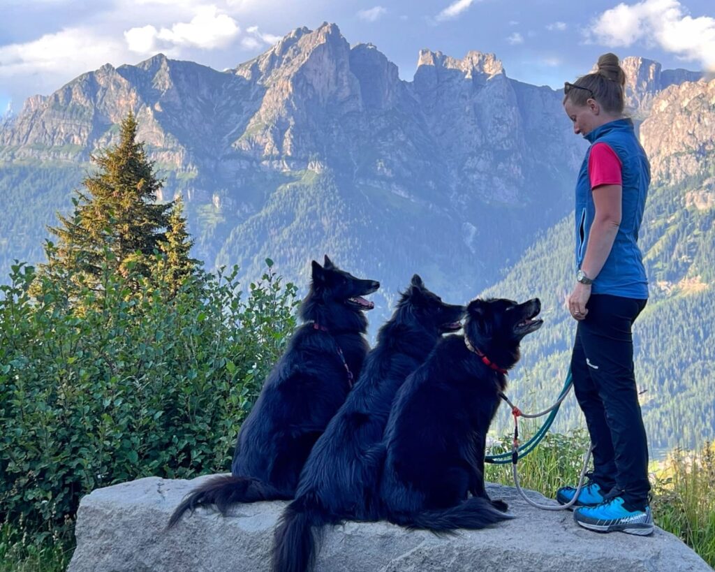 PASSEGGIATA A 6 ZAMPE: in compagnia dei vostri animali nei boschi di Ello 2