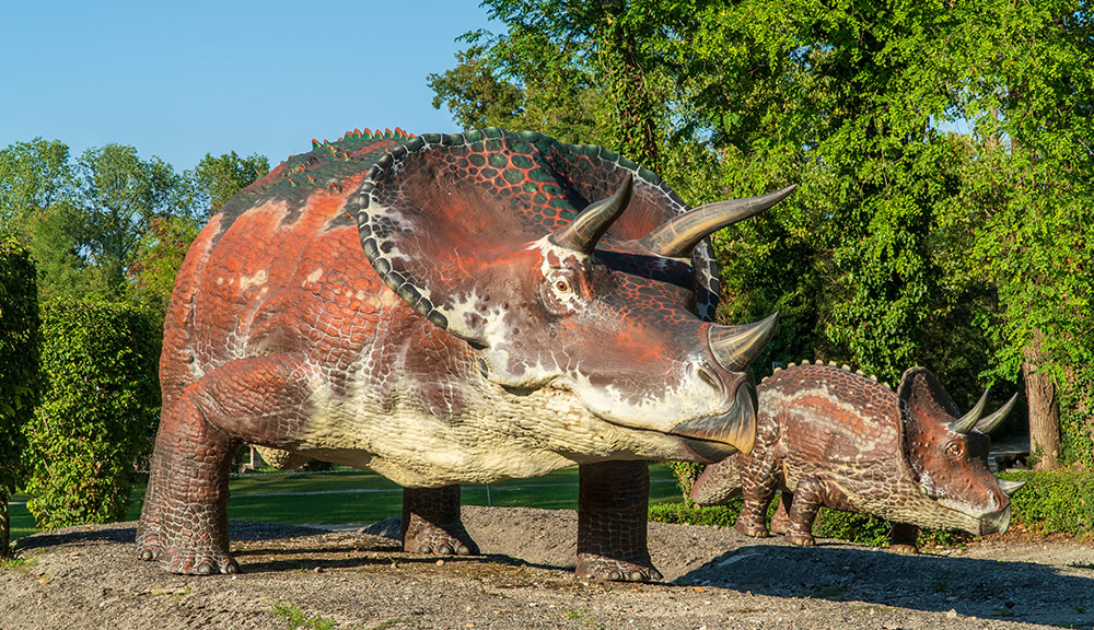 PARCO DELLA PREISTORIA, un viaggio nel tempo! 6