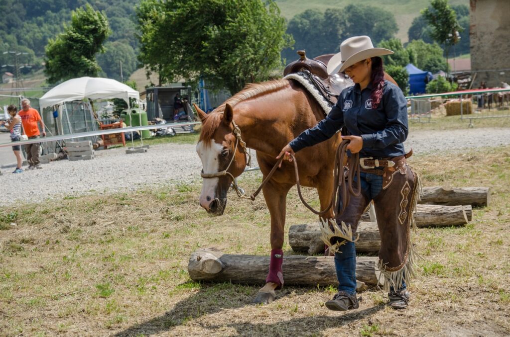 VALSASSINA COUNTRY FESTIVAL: il più grande festival country italiano 3