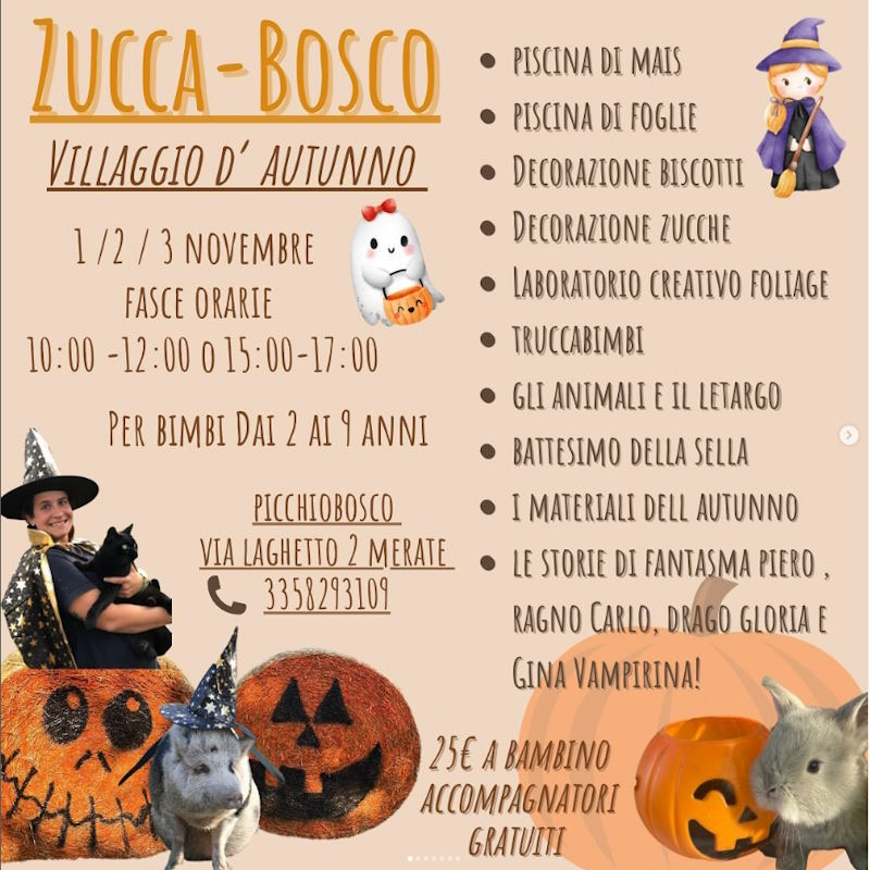 ZuccaBosco: il villaggio d'autunno 1