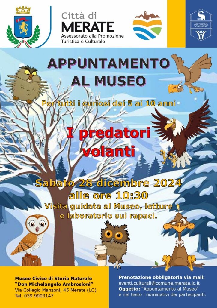 Appuntamento al Museo: i predatori volanti! 1